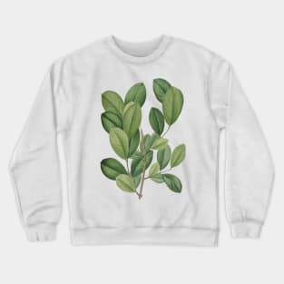 Verdant Leaves Crewneck Sweatshirt